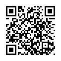 To view this 2012 HONDA ODYSSEY Omaha NE from Wild West Auto Sales, please scan this QR code with your smartphone or tablet to view the mobile version of this page.