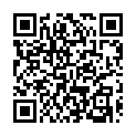 To view this 2013 VOLKSWAGEN PASSAT Omaha NE from Wild West Auto Sales, please scan this QR code with your smartphone or tablet to view the mobile version of this page.