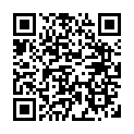To view this 2017 SUBARU WRX Omaha NE from Wild West Auto Sales, please scan this QR code with your smartphone or tablet to view the mobile version of this page.